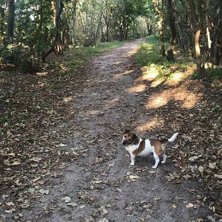 Strandzand アパート ノールトウェイク