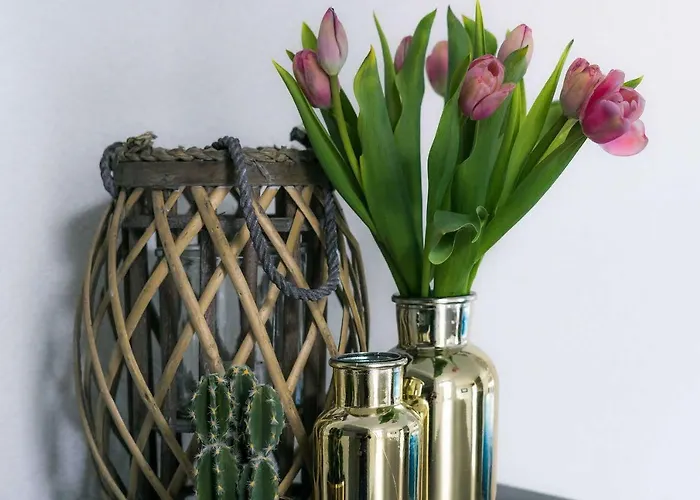 Apartment Strandzand Noordwijk